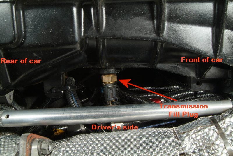 fluid plugs_04.jpg
